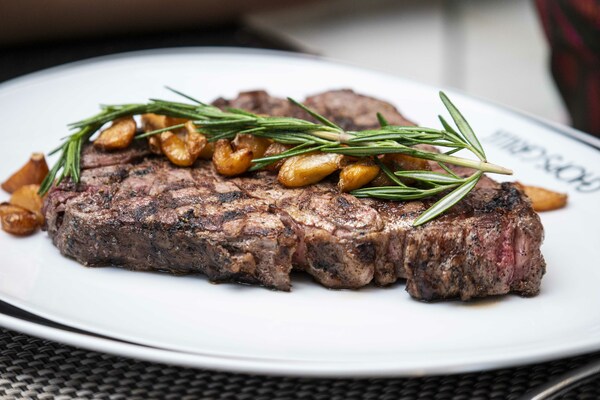 RCI ODYSSEEY Chops Grille.JPG